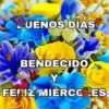 BUENOS DIAS 🌺🦋 18