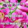 BUENOS DIAS 🌺🦋 19