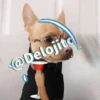 🍷🐕Perrito En Efecto🐕🍷 15