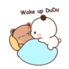 🐼BuBu and DuDu🐻(134) 12