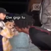 Gw gigi lu A @wyyrat speed