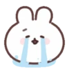 Mochipuru rabbit🐰🐇 MOV 23
