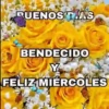 BUENOS DIAS 🌺🦋 20