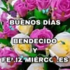 BUENOS DIAS 🌺🦋 21