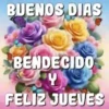 BUENOS DIAS 🌺🦋 23