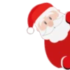 NAVIDAD 1 SURTIDOS 19