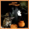 👻ԋAρρy ԋAʅʅσɯҽɳ #2🎃 21