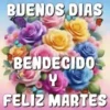 BUENOS DIAS 🌺🦋 25