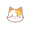 orange cat mov 16