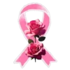 19🎗️Pιɳƙ🩷 OƈƚσႦҽɾ🌸 17
