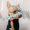 🍷🐕Perrito En Efecto🐕🍷 22