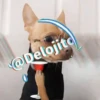 🍷🐕Perrito En Efecto🐕🍷 23