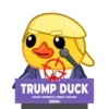 Trump-Duck 6