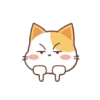 orange cat mov 18