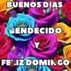 BUENOS DIAS 🌺🦋 26