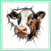 Animales🐰Movi🇲🇽 22