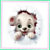 Animales🐰Movi🇲🇽 23