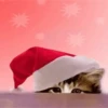 MIX NAVIDAD 2 23