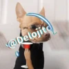 🍷🐕Perrito En Efecto🐕🍷 27