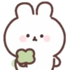 Mochipuru rabbit🐰🐇 MOV 28