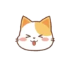 orange cat mov 19