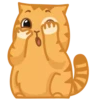 Persik Animated 15