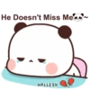 🐼 BuBu and DuDu 🐻 (132) 20