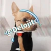 🍷🐕Perrito En Efecto🐕🍷 29