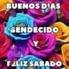 BUENOS DIAS 🌺🦋 30