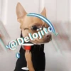 🍷🐕Perrito En Efecto🐕🍷 30