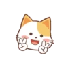 orange cat mov 23