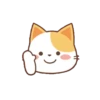 orange cat mov 24