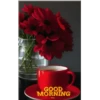 🌞m᥆rᥒіᥒg & 𝖿ᥣ᥆ᥕᥱrs🌹 4