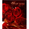 🌞m᥆rᥒіᥒg & 𝖿ᥣ᥆ᥕᥱrs🌹 6