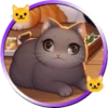 Gatitos tiernos💞5🇵🇪Movi 7