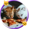 Gatitos tiernos💞5🇵🇪Movi 9