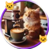 Gatitos tiernos💞5🇵🇪Movi 10