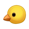 animals mov 9