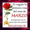 🦋 BIENVENIDO MARZO 🌻 6