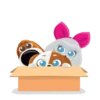 The Secret Life of Pets🐕 6