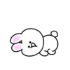 Mini white rabbit mov 6