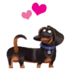 The Secret Life of Pets🐕 7