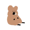 🐀 BrOwN MoUsE 🐀 (Mov) 5