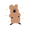 🐀 BrOwN MoUsE 🐀 (Mov) 6