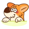 Perrito korgi 1 🐕 MOV 🇲🇽 8