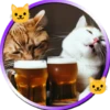 Gatitos tiernos💞5🇵🇪Movi 11