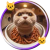 Gatitos tiernos💞5🇵🇪Movi 12