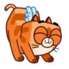 Cupid kitty 1 🐯 MOV. 🇲🇽 7