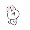 Mini white rabbit mov 11