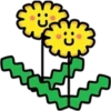 Flores 7